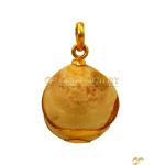 Natural Cowrie Shell Pendant With Gold Frame