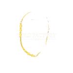 Eternal Aurelia Bracelet